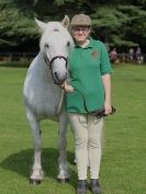 Image 9 in SUFFOLK  HORSE  SPECTACULAR. (HEAVY  HORSE  BREEDS)