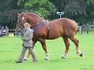 Image 14 in SUFFOLK  HORSE  SPECTACULAR. ( THE SUFFOLKS )