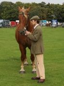 Image 24 in SUFFOLK HORSE SPECTACULAR. ( THE SUFFOLKS )