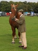 Image 24 in SUFFOLK  HORSE  SPECTACULAR. ( THE SUFFOLKS )