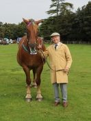 Image 27 in SUFFOLK HORSE SPECTACULAR. ( THE SUFFOLKS )