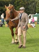 Image 34 in SUFFOLK  HORSE  SPECTACULAR. ( THE SUFFOLKS )