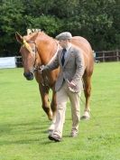 Image 36 in SUFFOLK  HORSE  SPECTACULAR. ( THE SUFFOLKS )