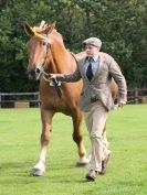Image 37 in SUFFOLK HORSE SPECTACULAR. ( THE SUFFOLKS )
