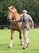 Image 37 in SUFFOLK  HORSE  SPECTACULAR. ( THE SUFFOLKS )