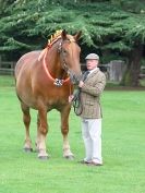 Image 9 in SUFFOLK HORSE SPECTACULAR. ( THE SUFFOLKS )