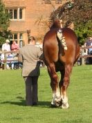 Image 10 in SUFFOLK  HORSE  SPECTACULAR.  SUPREME CHAMPIONSHIP