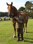 Image 25 in SUFFOLK  HORSE  SPECTACULAR.  SUPREME CHAMPIONSHIP