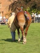 Image 7 in SUFFOLK  HORSE  SPECTACULAR.  SUPREME CHAMPIONSHIP