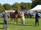 Image 9 in SUFFOLK  HORSE  SPECTACULAR.  SUPREME CHAMPIONSHIP