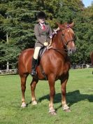 Image 10 in SUFFOLK HORSE SPECTACULAR. ( RIDDEN CLASS )