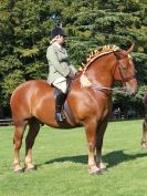 Image 13 in SUFFOLK HORSE SPECTACULAR. ( RIDDEN CLASS )