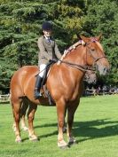 Image 15 in SUFFOLK HORSE SPECTACULAR. ( RIDDEN CLASS )