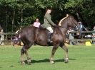 Image 2 in SUFFOLK HORSE SPECTACULAR. ( RIDDEN CLASS )