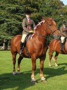 Image 22 in SUFFOLK HORSE SPECTACULAR. ( RIDDEN CLASS )