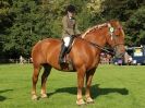 Image 26 in SUFFOLK HORSE SPECTACULAR. ( RIDDEN CLASS )