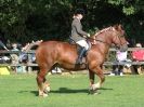 Image 3 in SUFFOLK HORSE SPECTACULAR. ( RIDDEN CLASS )