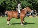 Image 5 in SUFFOLK HORSE SPECTACULAR. ( RIDDEN CLASS )