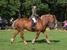 Image 6 in SUFFOLK HORSE SPECTACULAR. ( RIDDEN CLASS )