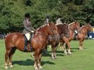 Image 9 in SUFFOLK HORSE SPECTACULAR. ( RIDDEN CLASS )