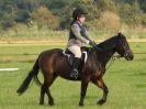 Image 16 in ADVENTURE RC 14 SEPT 2014 JUMPING AND SHOWING