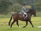 Image 18 in ADVENTURE RC 14 SEPT 2014 JUMPING AND SHOWING