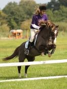 Image 50 in ADVENTURE RC 14 SEPT 2014 JUMPING AND SHOWING