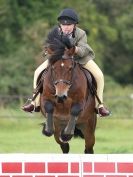 Image 52 in ADVENTURE RC 14 SEPT 2014 JUMPING AND SHOWING