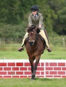 Image 53 in ADVENTURE RC 14 SEPT 2014 JUMPING AND SHOWING