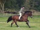 Image 55 in ADVENTURE RC 14 SEPT 2014 JUMPING AND SHOWING