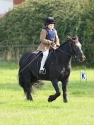 Image 6 in ADVENTURE RC 14 SEPT 2014 JUMPING AND SHOWING