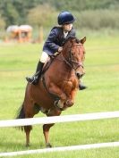 Image 62 in ADVENTURE RC 14 SEPT 2014 JUMPING AND SHOWING