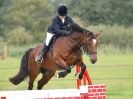 Image 73 in ADVENTURE RC 14 SEPT 2014 JUMPING AND SHOWING
