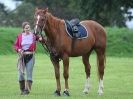 Image 30 in EVENING SHOW JUMPING  BROADS EC  OCT  2014