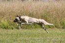 Image 8 in LURCHERS.  SANDRINGHAM 2012 ( OVERS AND ROUGH COATS ) TIMED RUNS