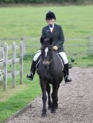 Image 13 in DRESSAGE  BROADS  EC  4 OCT. 2014