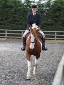 Image 20 in DRESSAGE  BROADS  EC  4 OCT. 2014