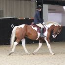 Image 49 in DRESSAGE  BROADS  EC  4 OCT. 2014