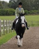 Image 5 in DRESSAGE  BROADS  EC  4 OCT. 2014