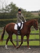 Image 58 in DRESSAGE  BROADS  EC  4 OCT. 2014