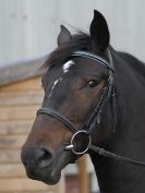 Image 71 in DRESSAGE  BROADS  EC  4 OCT. 2014