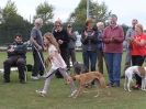 Image 22 in PRESENTATIONS ETC. AT THE LAST WCRA CHAMPIONSHIP. MORETON in MARSH 5 OCT. 2014