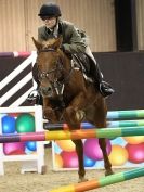 Image 195 in KY LARKIN MEMORIAL SHOW JUMPING SHOW. BROADS EC  12 OCT. 2014