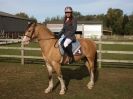 Image 228 in KY LARKIN MEMORIAL SHOW JUMPING SHOW. BROADS EC 12 OCT. 2014