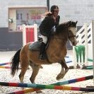 Image 25 in KY LARKIN MEMORIAL SHOW JUMPING SHOW. BROADS EC  12 OCT. 2014