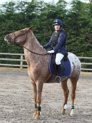 Image 4 in KY LARKIN MEMORIAL SHOW JUMPING SHOW. BROADS EC  12 OCT. 2014