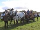 Image 10 in HEAVY HORSE OPEN DAY. MAISEBROOKE FM. SHIPMEADOW. 19 OCT. 2014