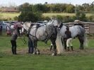 Image 14 in HEAVY HORSE OPEN DAY. MAISEBROOKE FM. SHIPMEADOW. 19 OCT. 2014