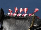 Image 19 in HEAVY HORSE OPEN DAY. MAISEBROOKE FM. SHIPMEADOW. 19 OCT. 2014