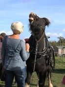 Image 20 in HEAVY HORSE OPEN DAY. MAISEBROOKE FM. SHIPMEADOW. 19 OCT. 2014